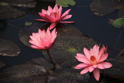 永利(中国)集团官方网站